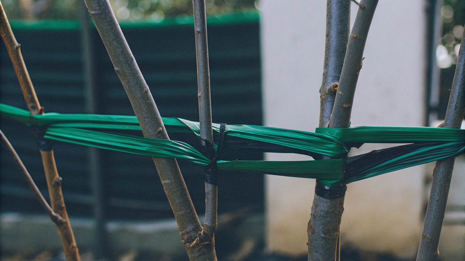 Садовые скобы для растений – надежная фиксация и поддержка для здорового роста