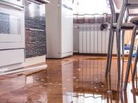 Затопили квартиру. Что делать, если наша квартира затоплена?