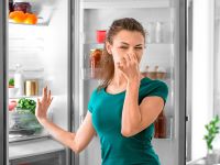 Как избавиться от неприятного запаха в холодильнике раз и навсегда? Натуральные, дешевые методы