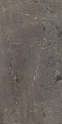 KM6012B0300R Настенная плитка Марсель коричневый глянцевый обрезной 119,5x60 Kerama Marazzi