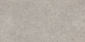 SG519920R Керамогранит Риккарди серый светлый матовый обрезной 119,5x60 Kerama Marazzi
