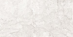 х9999294100 Керамогранит Emil white светло-серый полированный 120x60 Laparet