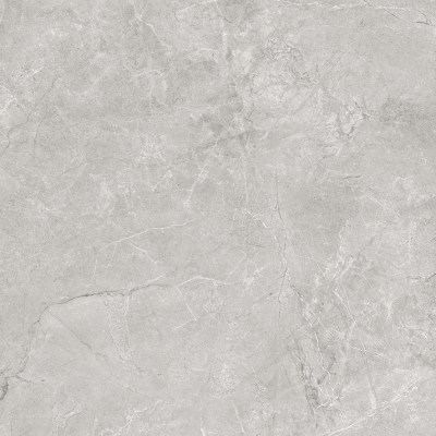 Керамогранит Плуто Сильвер светло-серый матовый SG625820R 59,5x59,5 Laparet