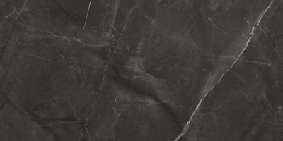 Керамогранит Таймлесс Графит графит матовый карвинг LP6012G0031R 119,1x59,5 Laparet