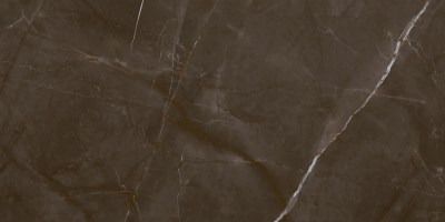 Плитка настенная Таймлесс эспрессо глянцевая обрезная LP6012B0230R 119,1x59,5 Laparet