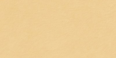 Керамогранит Стукко Миель ПРО светло-оранжевый матовый cтруктурный R10/B LP6012G0911R8 119,1x59,5 Laparet